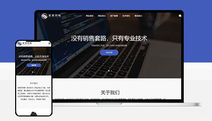 蓝色网络公司迅睿cms网站模板
